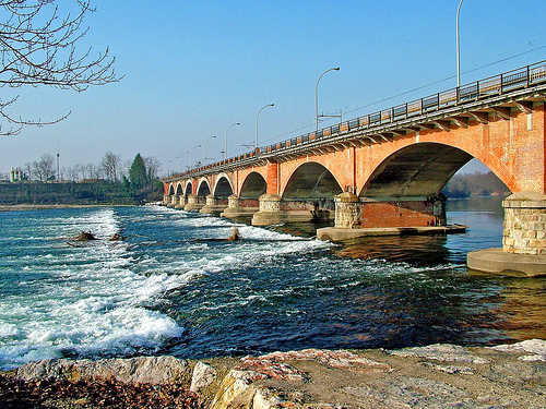 Cercasi volontari per il Ticino