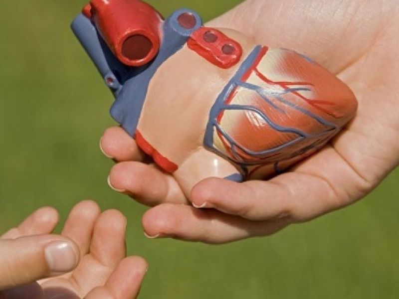 Donazioni organi e tessuti in aumento al Policlinico