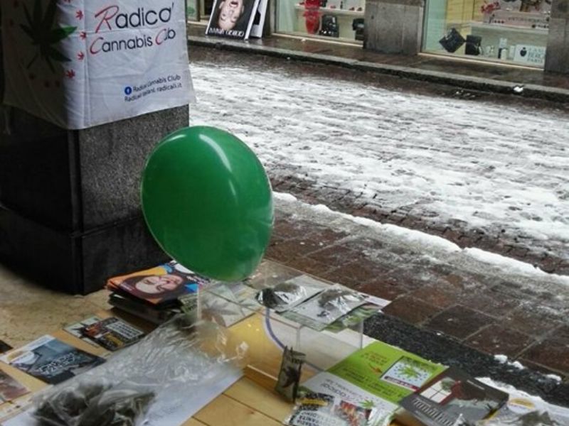 Cannabis Light distribuita da + Europa: la reazione dei pavesi