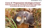 Raccolta funghi il corso per il rilascio del permesso