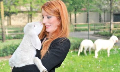 Pasqua vegana | crociata di Michela Vittoria Brambilla contro la strage degli agnelli