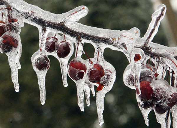 Neve e Burian nella Bassa quanto ci state costando