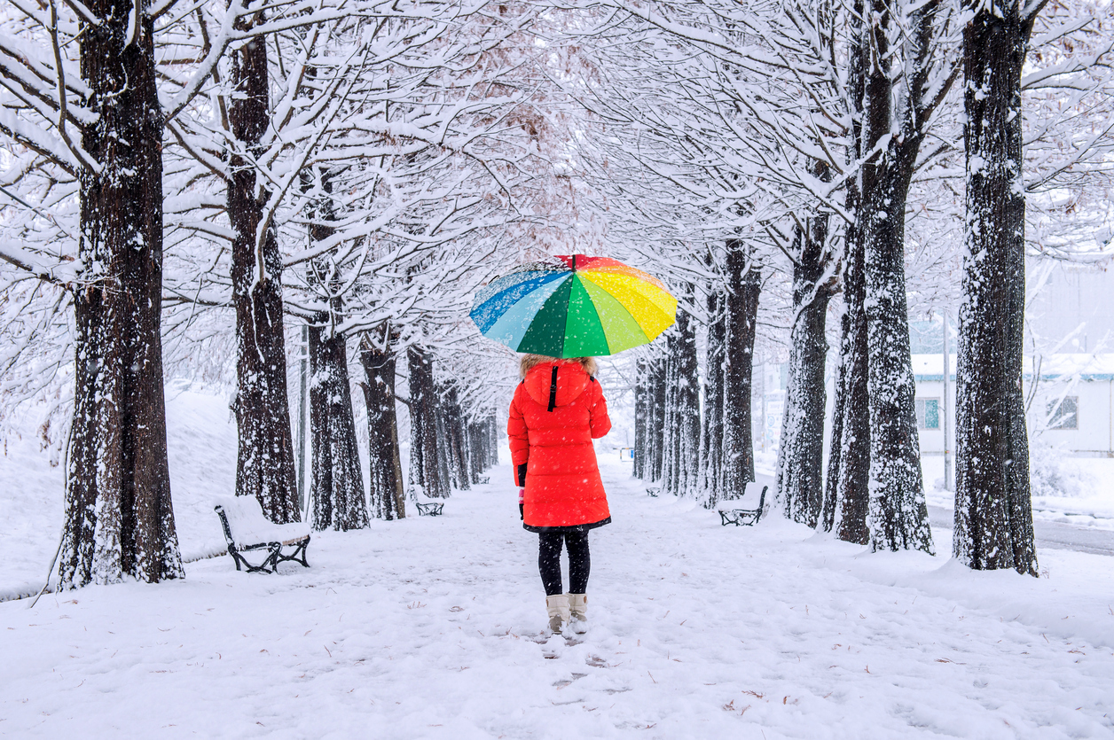 Neve Pavia secondo le previsioni continuerà anche domani