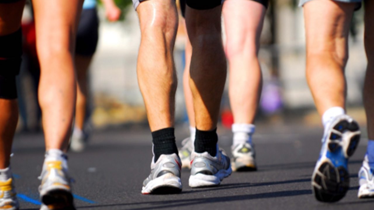 Camminata Milano-Pavia seconda edizione