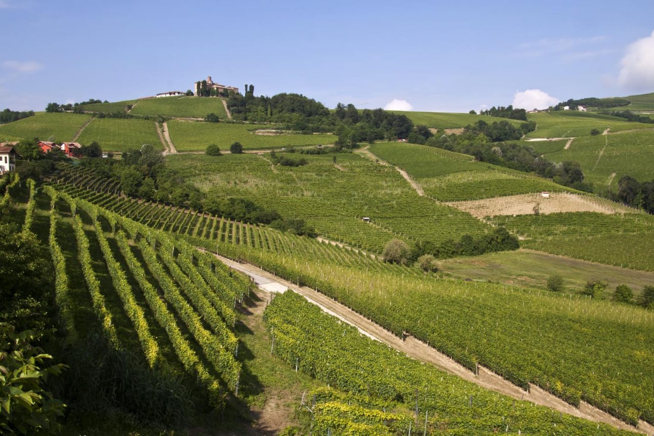Vinitaly Padiglione Lombardia Oltrepò Pavese punta sul Pinot Nero
