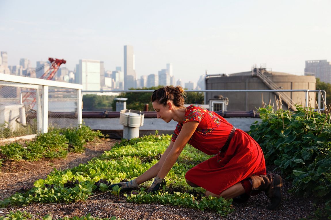Nuovi “orti urbani” per favorire l’aggregazione sociale e l’agricoltura sostenibile