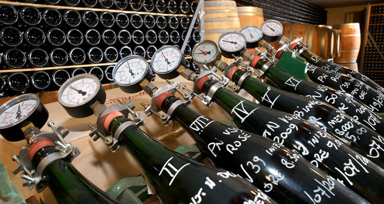 Zucchero nel vino, sequestrati 280 ettolitri di Pinot grigio