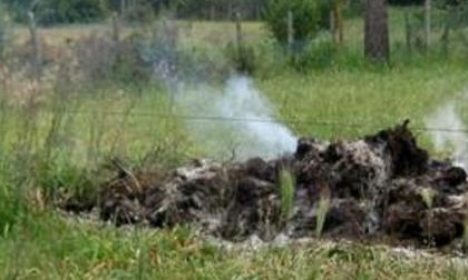 Plastica bruciata nei campi a Sartirana: denunciato 30enne