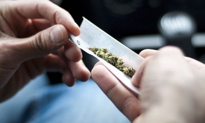 Trovato positivo alla cannabis alla guida dell’auto: assolto