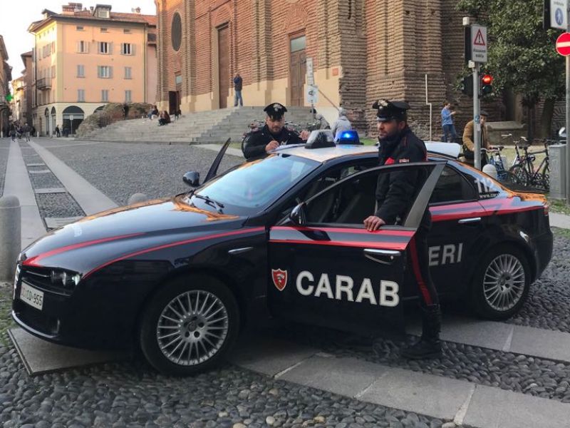 Rubano 20 kg di cipolle da un campo agricolo, denunciati