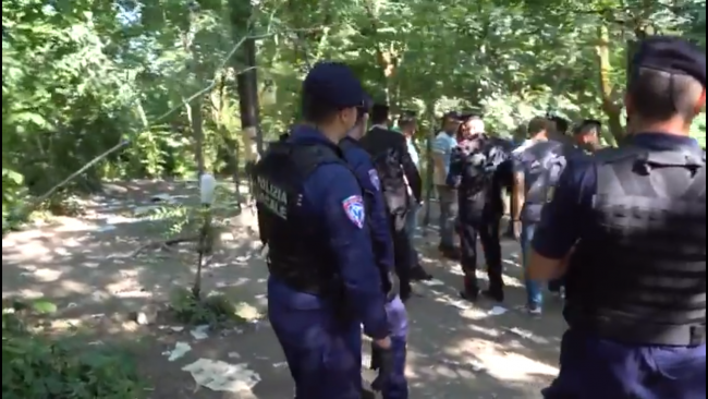 Bosco della droga, i risultati del blitz VIDEO