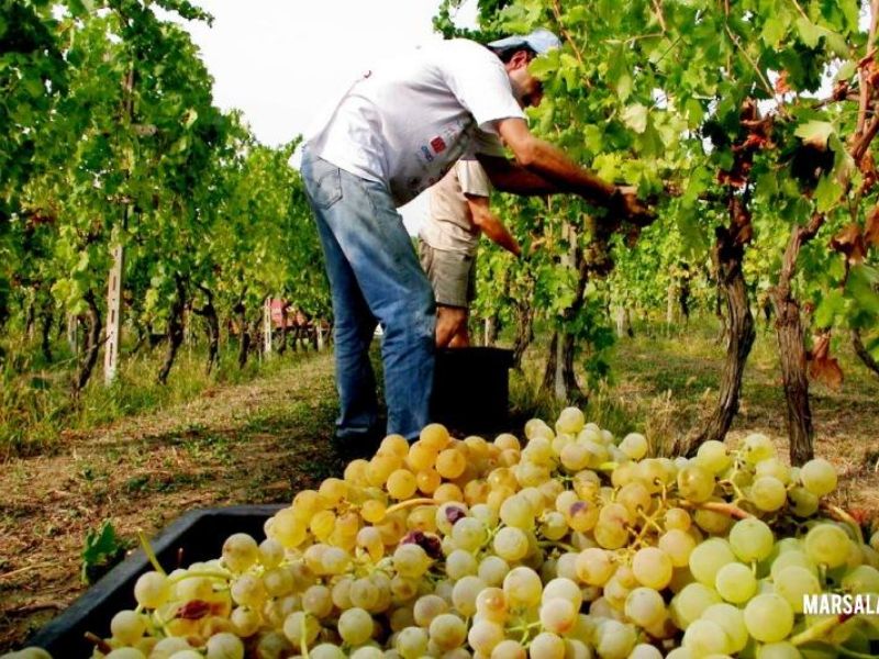 Voucher lavoro: ritornano dopo 10 anni dal loro ingresso in Italia