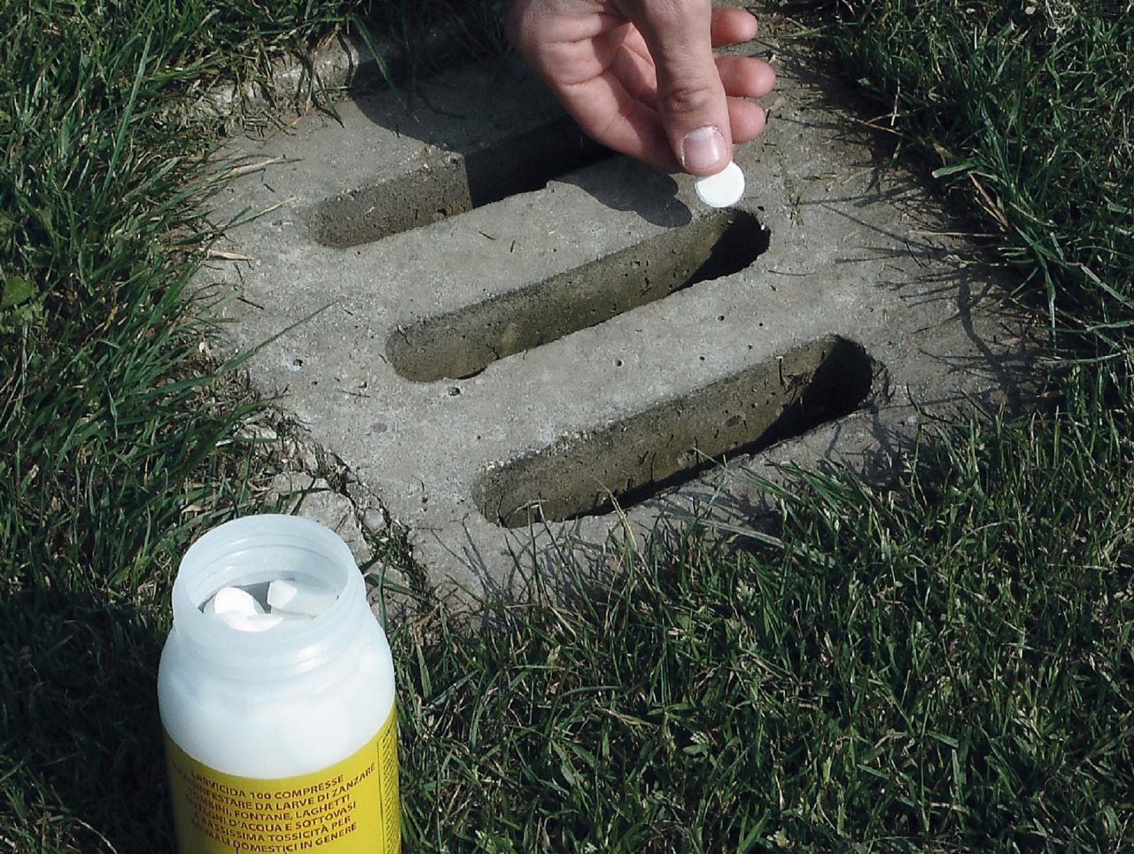 Pastiglie antizanzara gratis dal Comune