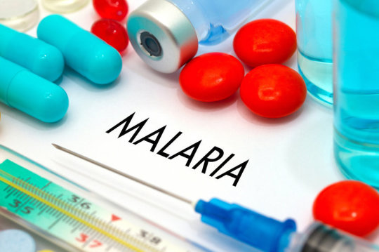 Febbre altissima per giorni: bambino di 2 anni ha contratto la malaria