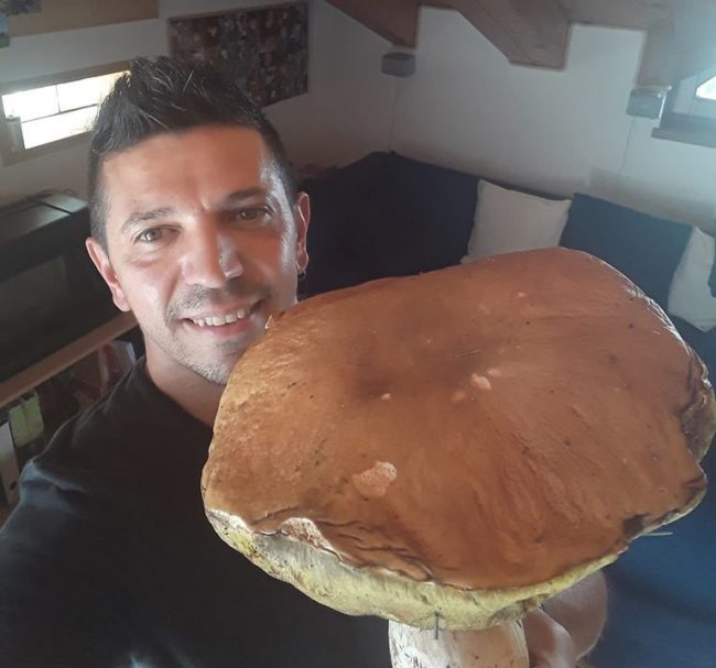 Trova un fungo da record e la foto diventa virale