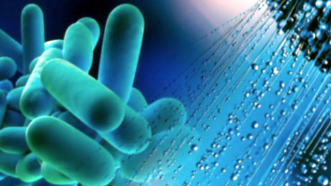 Legionella e polmonite in Lombardia: epidemia eccezionale, perché?