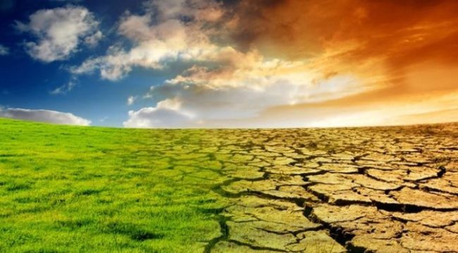Riscaldamento globale e non solo: forum “Uniti per il clima” a Milano