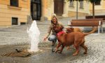 In Lombardia arrivano i cimiteri per gli animali