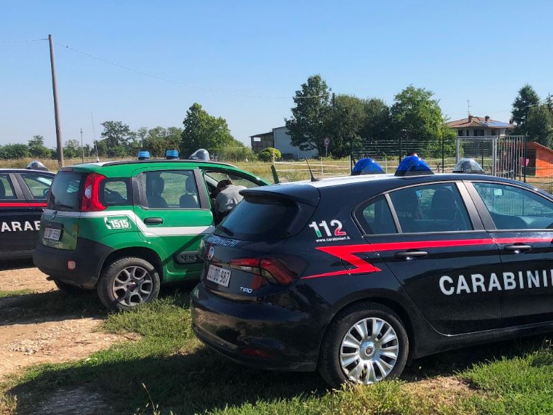 Sequestrati animali allevati in condizioni precarie ed incompatibili con la loro natura
