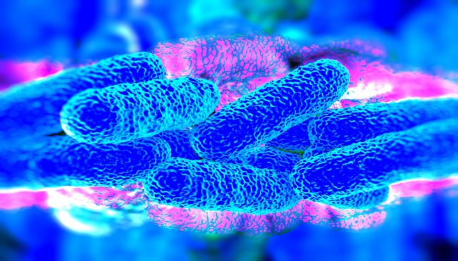 Legionella e West Nile si stringono attorno a Milano