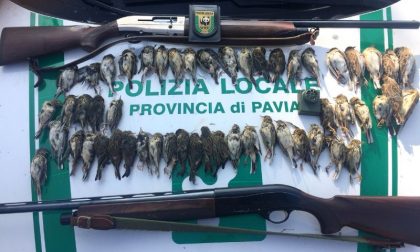 Bracconaggio in Lomellina, abbattuti 47 uccelli protetti VIDEO