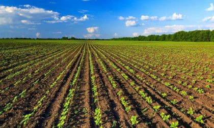 Tre milioni e mezzo per finanziare le aziende agricole lombarde