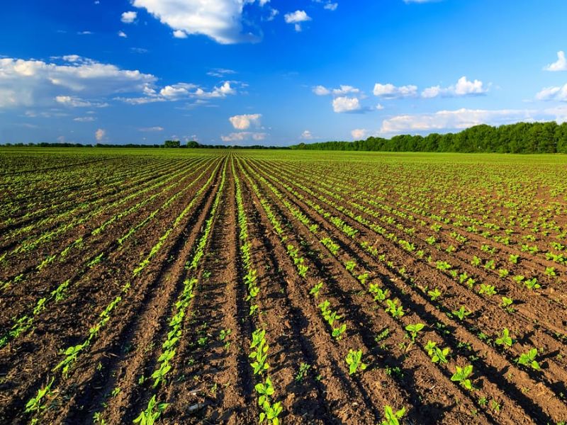 Tre milioni e mezzo per finanziare le aziende agricole lombarde