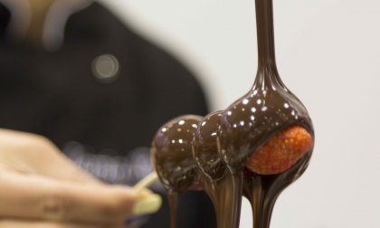 ChocoDucale a Vigevano: il gusto del cioccolato artigianale