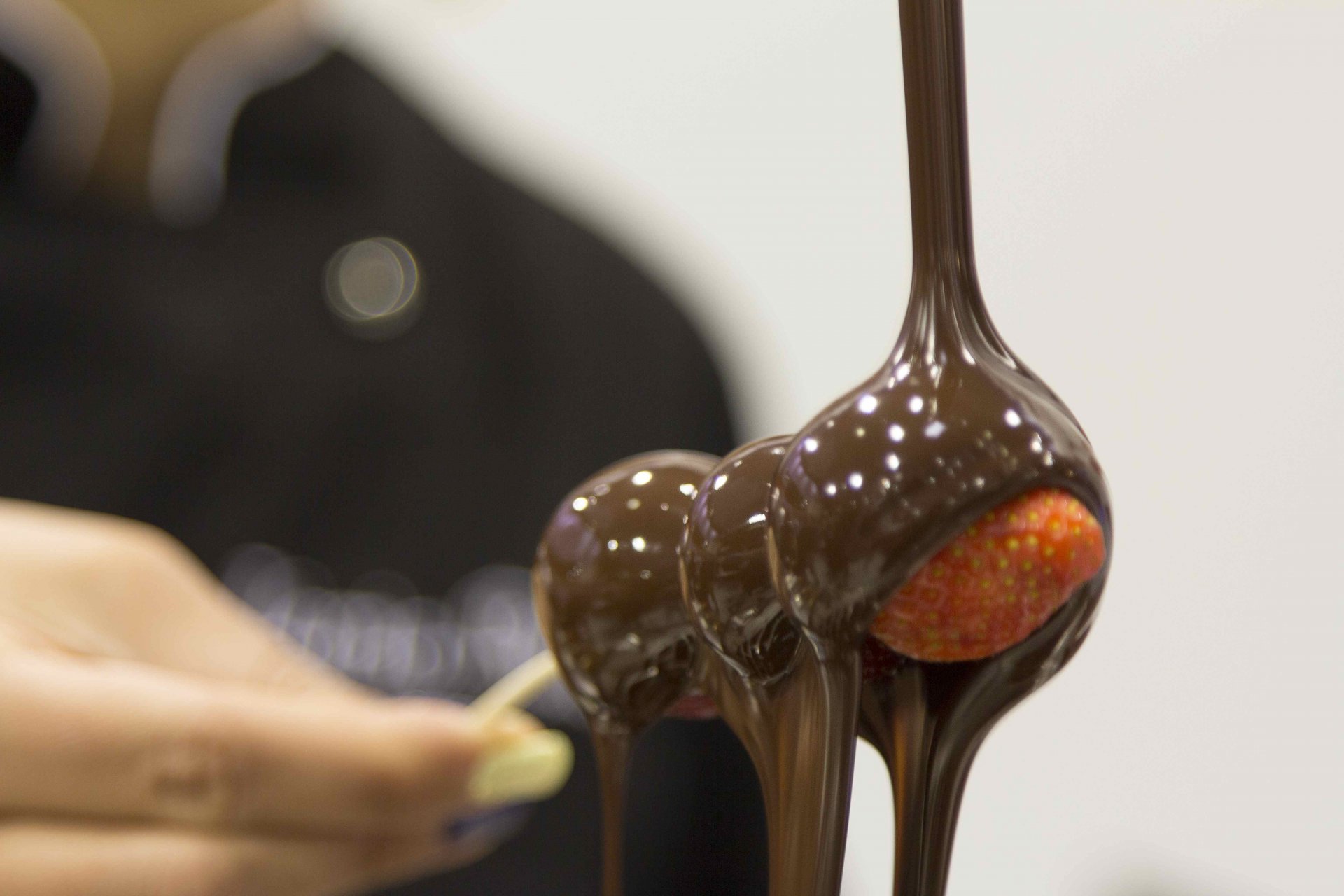 ChocoDucale a Vigevano: il gusto del cioccolato artigianale