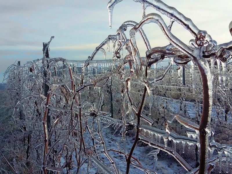Gelicidio 2017: 180mila euro a comuni dell’Oltrepò Pavese