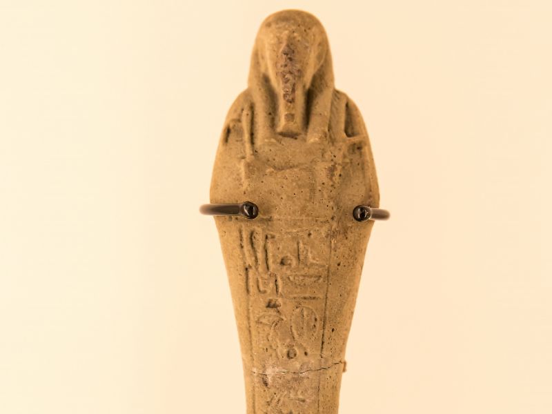 Il Museo di Archeologia dell’Università di Pavia apre le sue sale