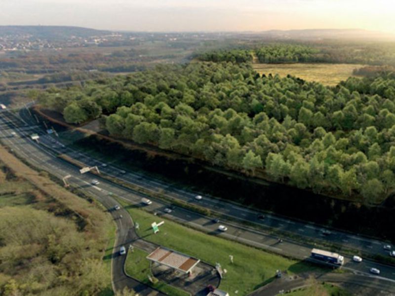 Camminiamo insieme verso il World Forum on Urban Forests