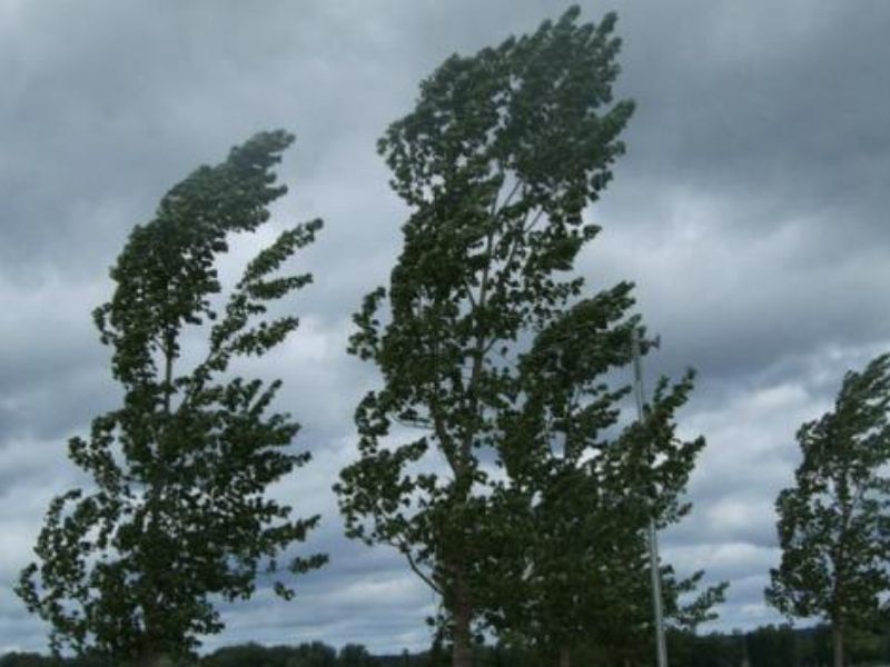 Allerta meteo per rischio vento forte
