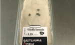 Richiamato vitello tonnato per presenza di Listeria