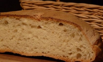 Pane fresco o conservato? Da oggi lo sapremo dall’etichetta