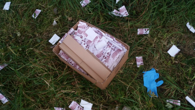 Incursione vandalica, una pioggia di soldi sul pratone di Pontida VIDEO