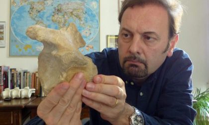 In Lombardia il più antico dinosauro carnivoro