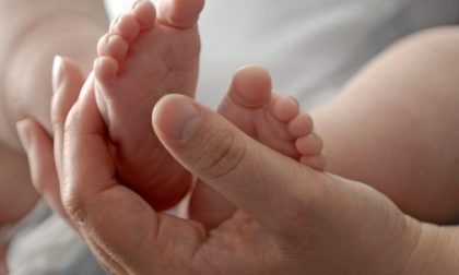 Lega vuole report su iscrizione anagrafe di bimbi da coppie stesso genere