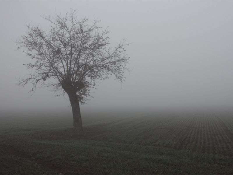 Nebbie e foschie nel primo weekend di dicembre PREVISIONI METEO