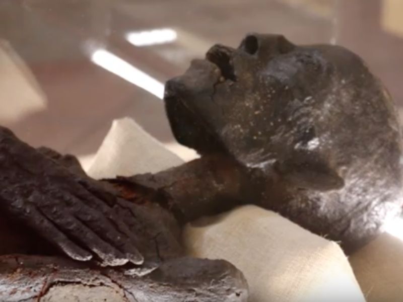 Museo di Archeologia: giornata di studi sulle due mummie egizie