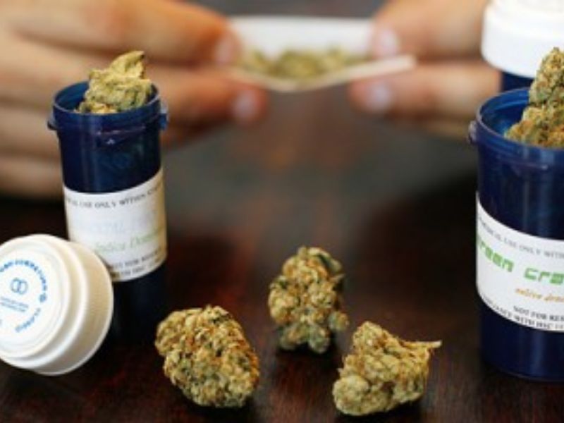 Coltivazione cannabis terapeutica, sì del Pirellone