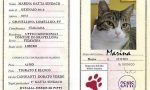 A "Dalla parte degli animali" anche la gatta-sindaco di Gravellona Lomellina