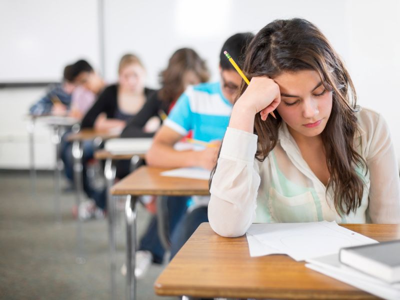 Online da oggi le commissioni per gli esami di maturità 2019