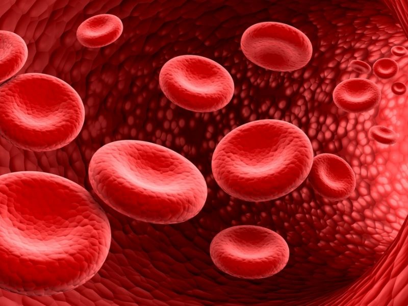 Il Servizio di Immunoematologia e Medicina Trasfusionale del San Matteo su “Nature Medicine”