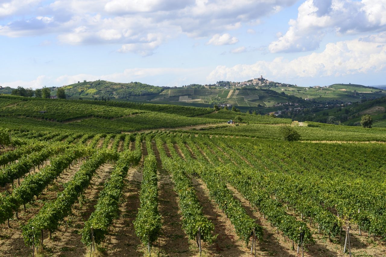 Vino Oltrepò, accordo tra consorzio e distretto. Rolfi: “Pagina nuova per un intero territorio”