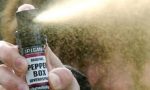 Spray al peperoncino spruzzato in palestra: ragazzi intossicati alla scuola media Leonardo da Vinci
