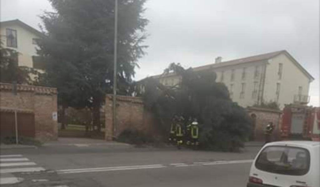 Vento forte: pino cade su furgone in viale Campari