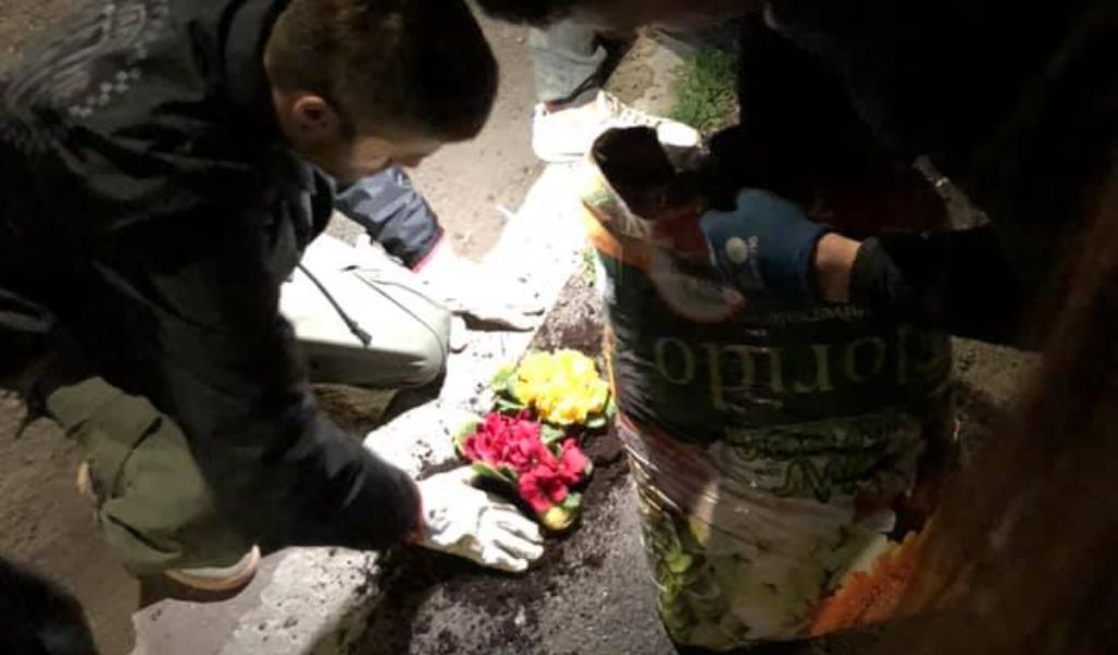 Fiori nelle buche delle strade, l’iniziativa dei Giovani di FdI-Pavia