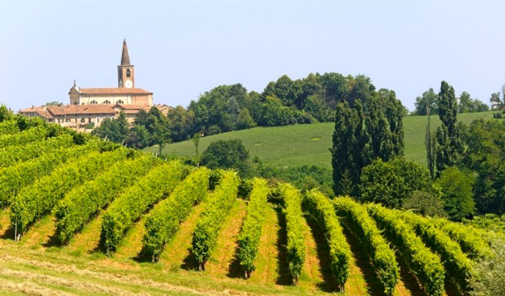 Si apre l’era “spaziale” del vino: in Oltrepò vigne sorvegliate dai satelliti