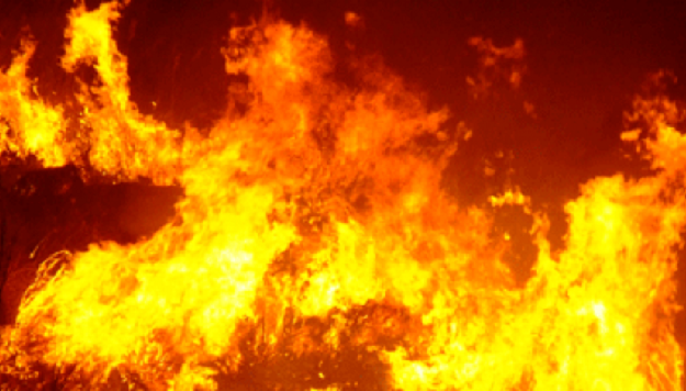 Incendio nel parco del Ticino: piromani in azione